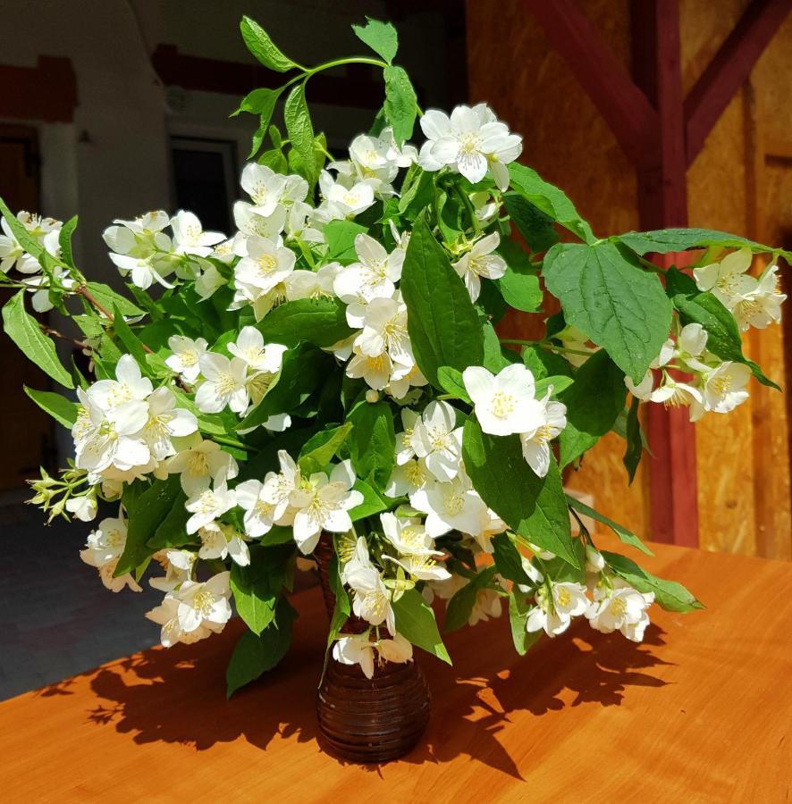 Jasmin Apartment Budry Bagian luar foto